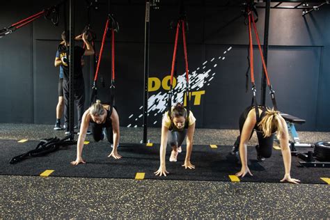 MOVEO TRAINING .